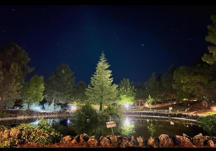 Exterior de las cabañas en Riópar